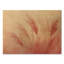 Décoration murale Blush Pampas Glow I - Bohème-106325665-106325670