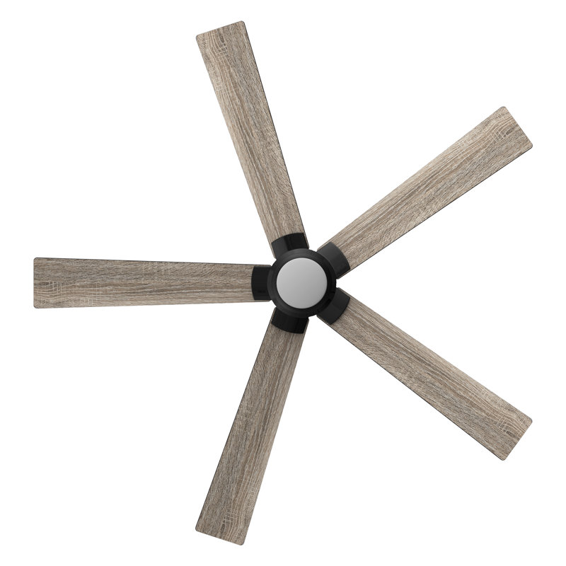 60'' Ceiling Fan with LED Lights, Black, Gray Oak