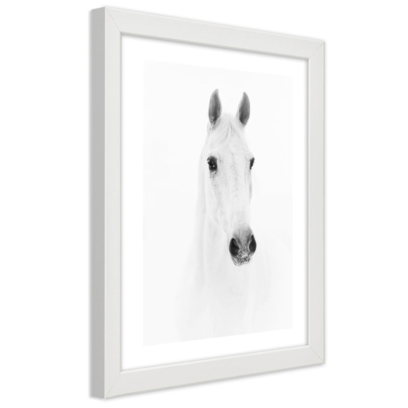 White Horse Animals Nature - Single Picture Frame Print, 90cm H x 60cm W, White