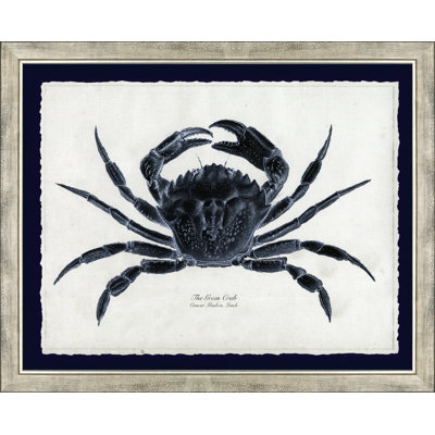 Le crabe vert - peinture encadrée sur papier