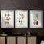 Shell Collection IV - reproduction sur mesure encadrée de qualité supérieure - 3 pièces-253780877-253780866
