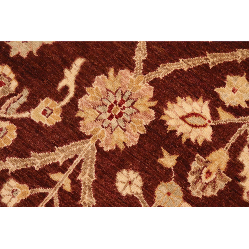 Baccio Wool Oriental Indoor Rug