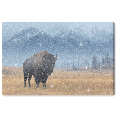 Mountain Bison I Print by Oliver Gal