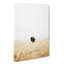 Bison Gaze - Wrapped Canvas-55370603