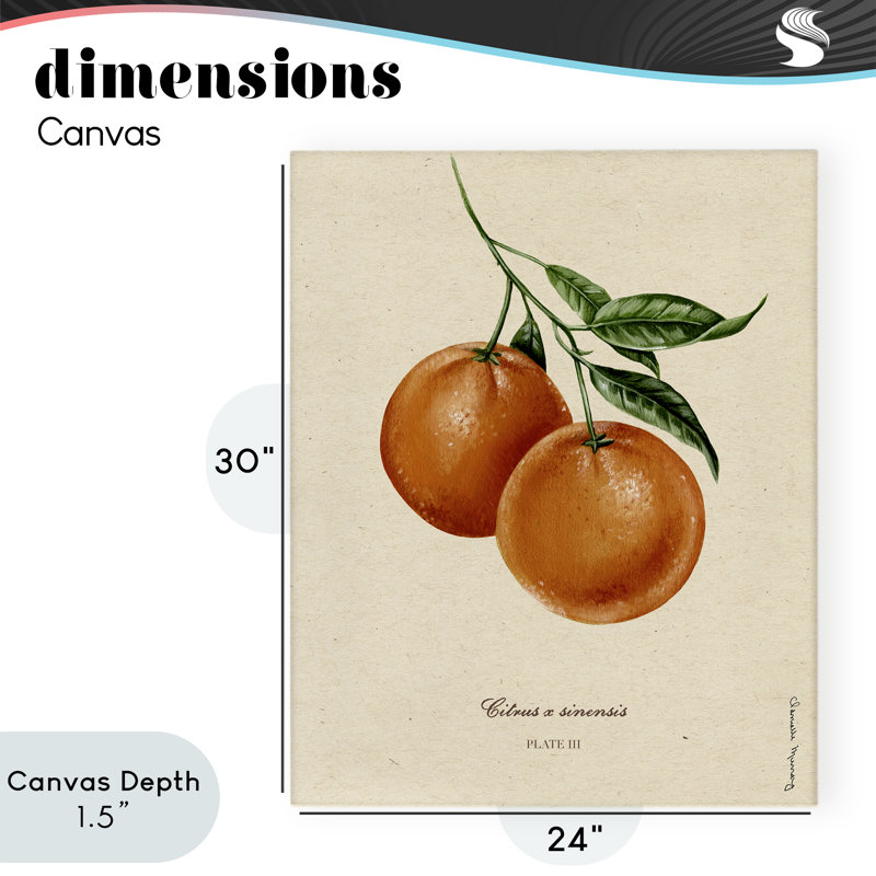 «Orange Fruit Portrait Canvas», conception par Danielle Murray, H 30 po x l 24 po