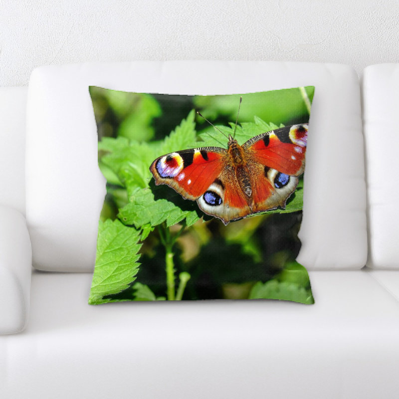 Coussin de papillon peacock