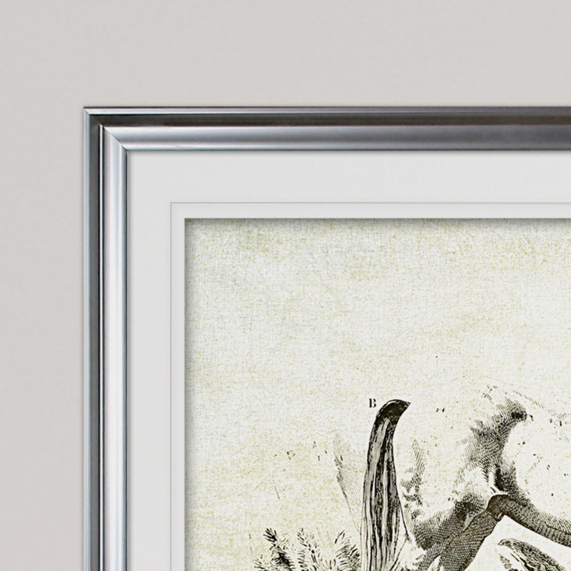« équin assiette iv », reproduction, Cadre argenté, H 31 po x l 43 po x P 1,5 po, Blanc mat