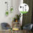 Carrey Indoor / Outdoor Hanging Planter