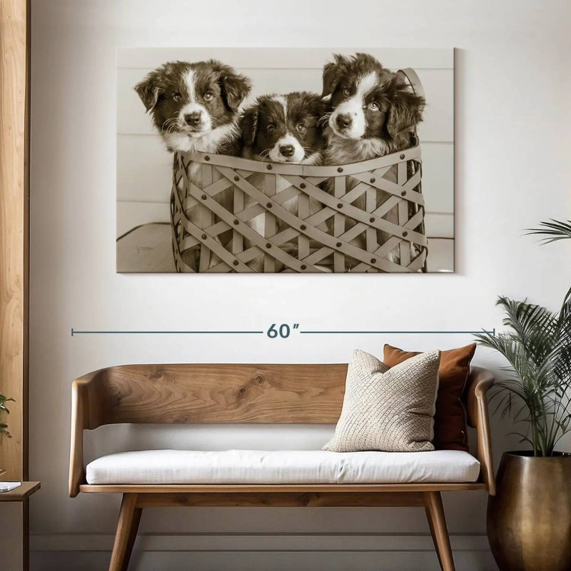 Brampt What A Cute Bundle, 32" H x 48" W