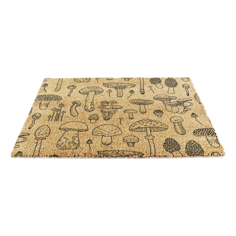 Non-Slip Indoor Doormat