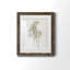Farmhouse Pressed Flower I - peinture encadrée-1383879518-1383879519