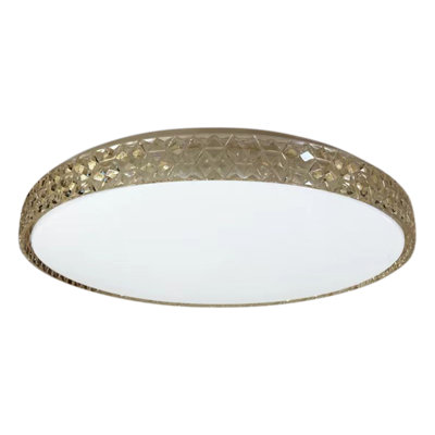 Isenbert Plastic LED Flush Ceiling Light
