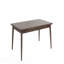 Table de salle à manger Contemporary