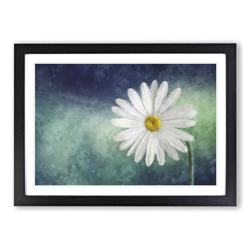 White Daisy Vol.2 Painting - Picture Frame Graphic Art, 27cm H x 36cm W x 2cm D, Black