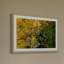 Karolis Janulis - Single Picture Frame Print-1556653764