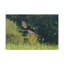No Frame Print on Canvas-628834031