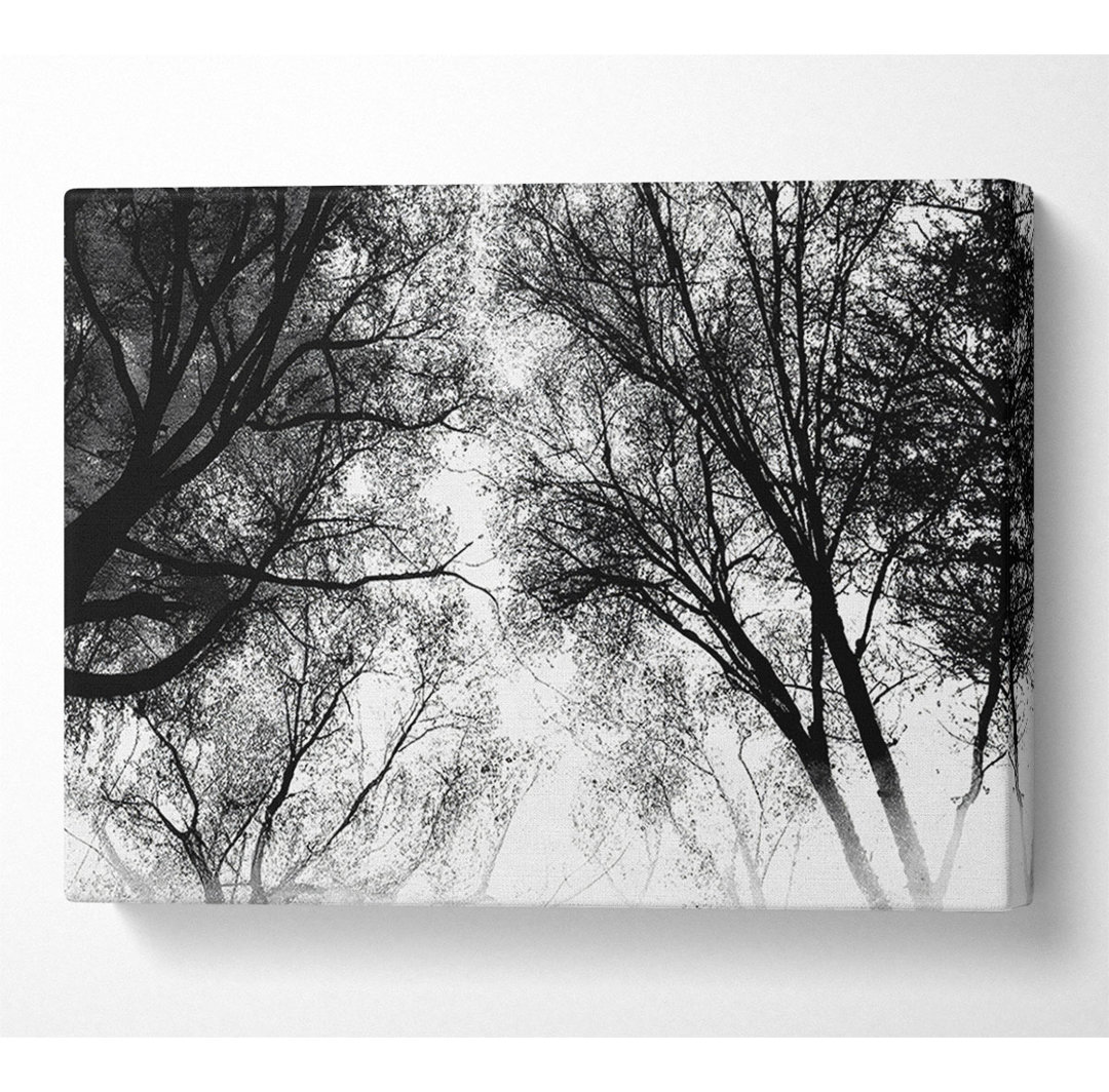 Forest Skies Black And White - Leinwanddrucke auf Leinwand