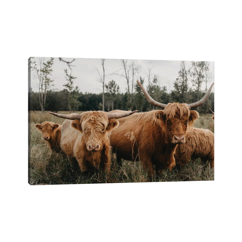 Highland Cow Herd by Chelsea Victoria - Wrapped Canvas Gallery-Wrapped Canvas Giclée, 101.6 cm H x 66.04 cm W x 1.91 cm D