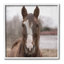 «Brown Horse Portrait», estampe numérique par Kim Allen-98909186-100567603