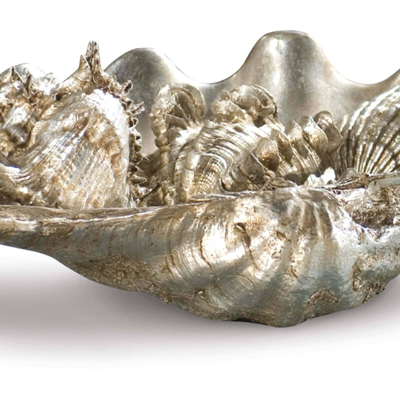 Med Clam Shell w/ Silver Shells