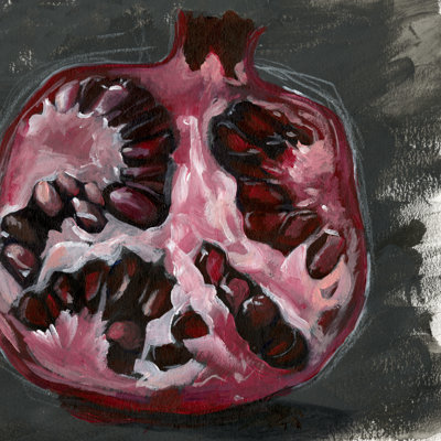 Pomegranate Study On Black II by Jennifer Paxton Parker - Wrapped Canvas Painting