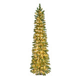 ASPEN PINE TREE