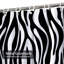 Rideau de douche Zebra-1034885148