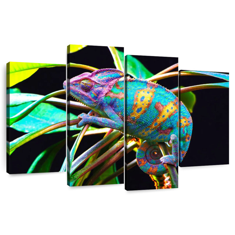 Brampt Chameleon, 42'' H x 68'' W