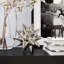 Urchin Shiny Silver Object-1635266307