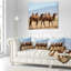 Coussin de ruins tomb-30614263-30810444