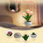 Lampe de tulipe à DEL, réplique de lampe de table à fleurs avec vase (usb-powe) - Pour la maison / le salon / le décor de bureau, appui long sur la luminosité réglable (effet respirant)
