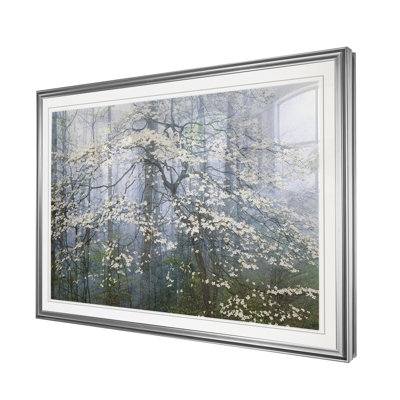 « jones dogwood auvent », impression