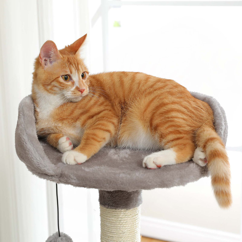 Tour d'escalade à plusieurs niveaux avec condo pour chat, arbre à chat avec planche à gratter, Gris