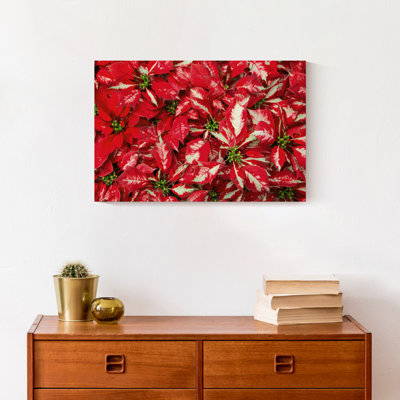 Pointsettia Blooms - Wrapped Canvas Photograph -  The Holiday Aisle®, A012434DA0F7425882CEA0BAB31E30F3