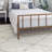 Striped Indoor Rug-1681691830