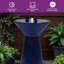 Fontaine, bol et support d'eau résistants aux intempéries H 28 po avec lumière