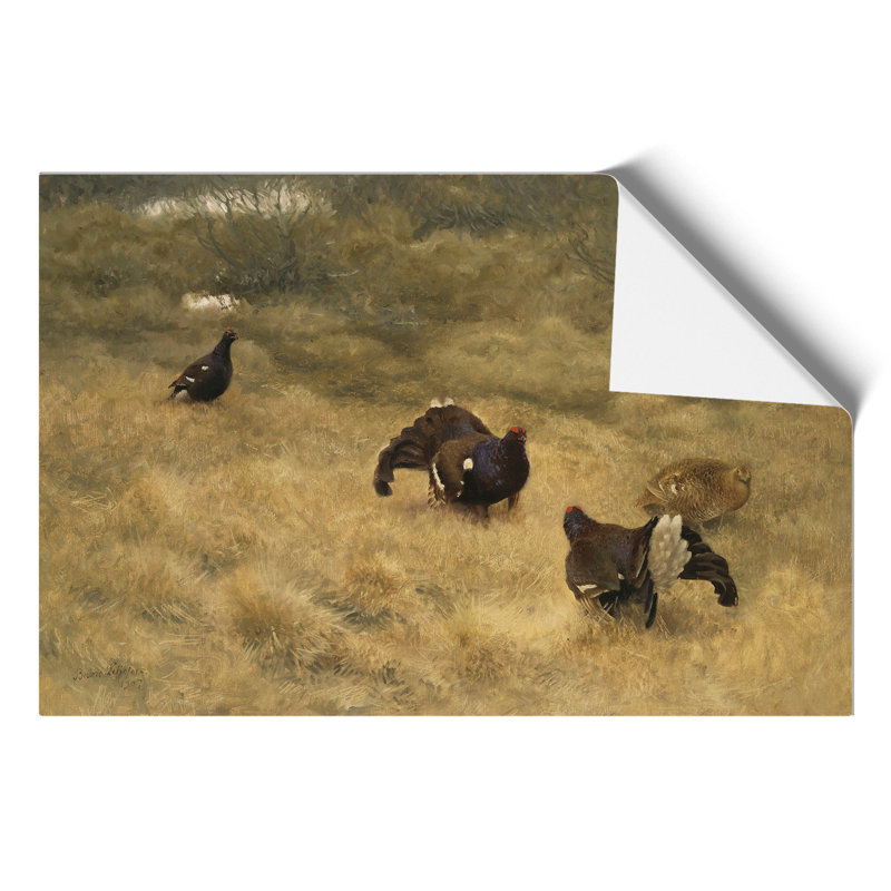 Black Grouse by Bruno Liljefors - No Frame Painting, 21cm H x 30cm W x 0.1cm D