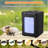 25 L Incubator, Portable Reptile Science Laboratory Incubator, Temperature Controlled 10°c-60°c For Small Reptiles, Cooling And Heating Digital Incubator, Incubator 12v/110v-240041274
