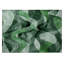 Tapis extérieur lavable antidérapant 2 pi x 3 pi vert Fern