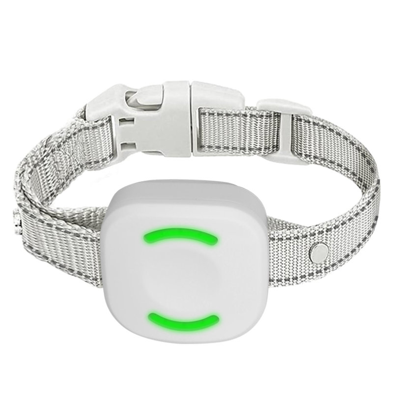 Collier de dressage pour chien