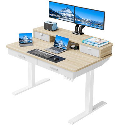 Height Adjustable Electric Standing Desk With Storage Shelf And Pull-Out Drawer, Modern Ergonomic Computer Workstation