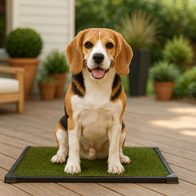 PETMAKER Artificial Grass Puppy Pad for Dogs and Small Pets - Reusable Training Potty Pad - Dog Housebreaking Supplies
