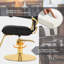 Fauteuil de coiffeur coiffeuse en cuir PU Inbox Zero-1814010781