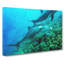 Dolphins - Wrapped Canvas-61848995