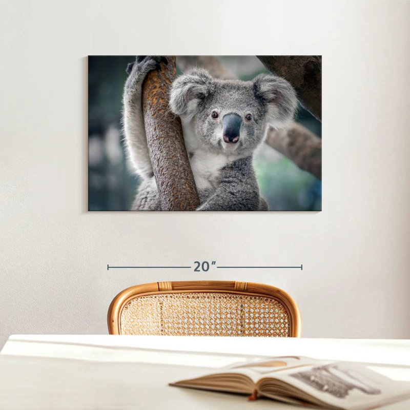 Brampt Happy Koala, 16" H x 24" W