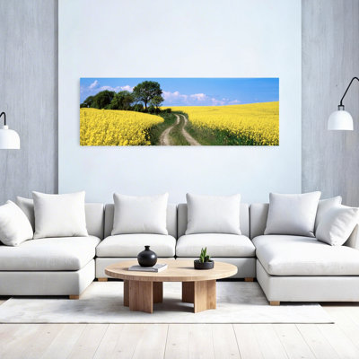 Canola, ferme, fleurs jaunes, Allemagne, art contemporain abstrait fleur printanière