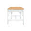 Asha Bench