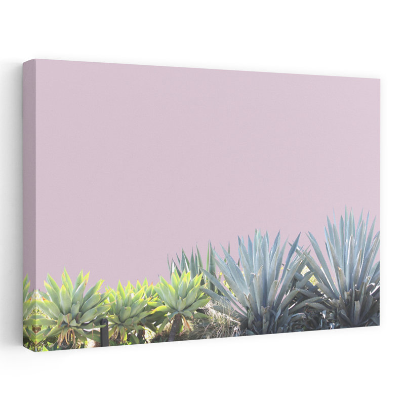 Blush Garden Abstract Contemporary Succulent Landscape Nature Art, 16" H x 24" W