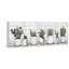 Impression encadrée « indoor succulents »-50107197