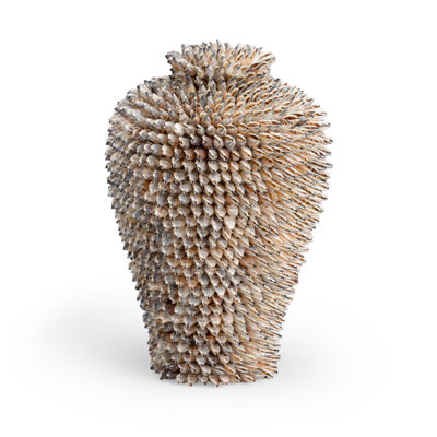Strombus Handmade Shell Jar